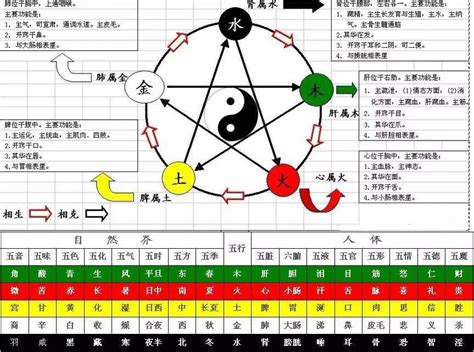 十天干五行|五行天干地支對照表